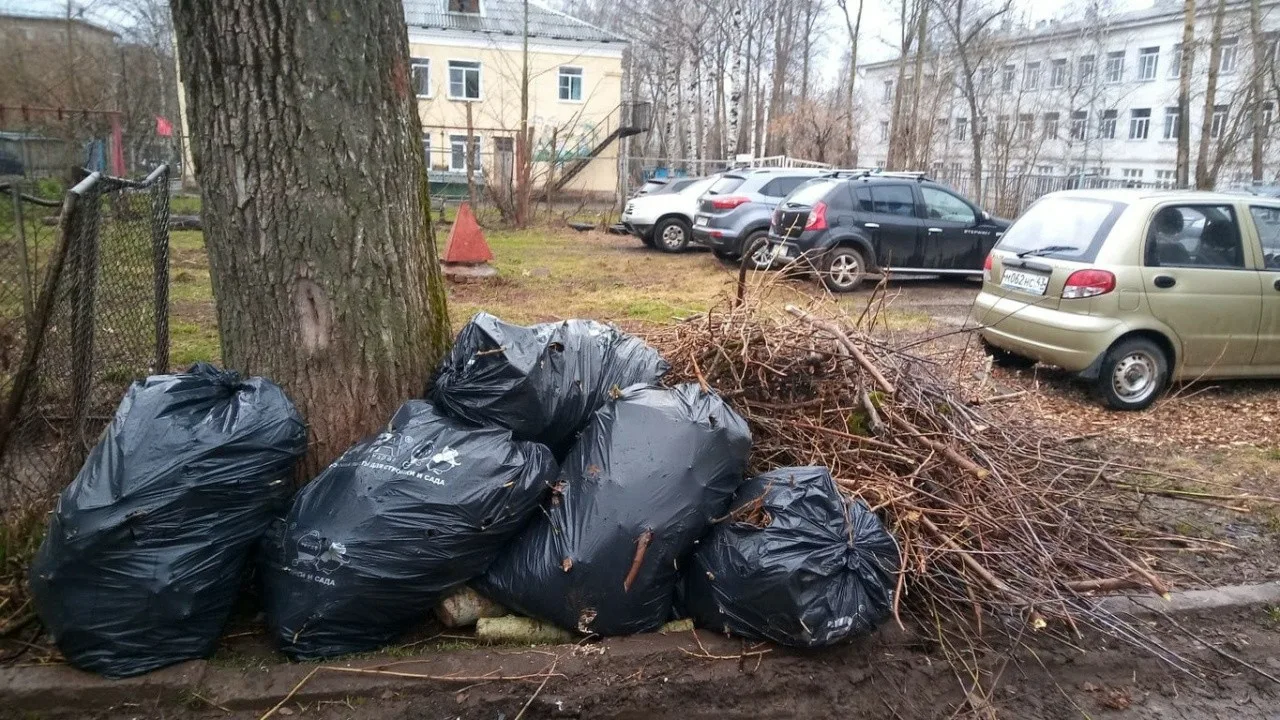 Вывоз мусора после субботника в Белгороде от ПроМусор – уборка и утилизация отходов от 2441 руб
