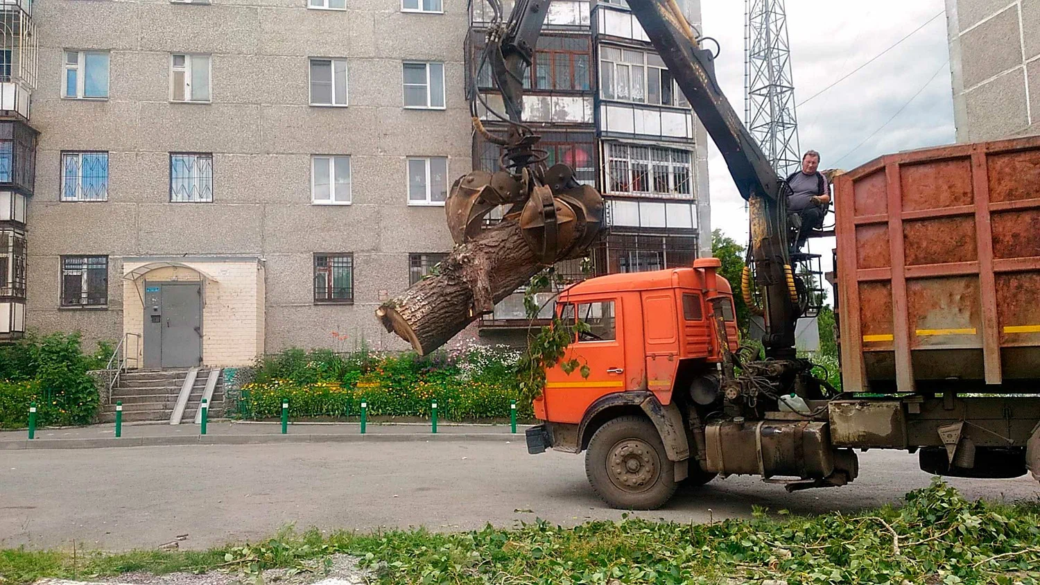Вывоз спиленных веток и деревьев в Белгороде от ПроМусор: порубочные остатки, утилизация, цена от 3012 руб